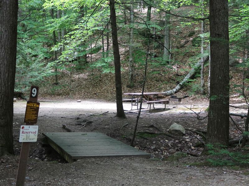 Site 9 at White Ledge Campground