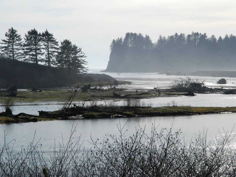 Quillayute River