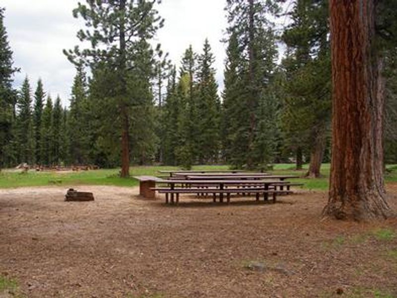 Duck Creek group site