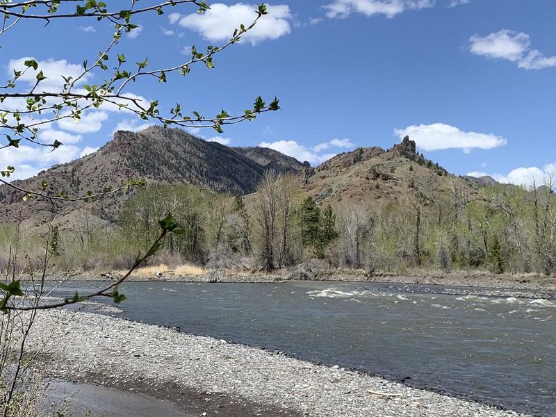 North Fork Shoshone River at Wapiti Campground
