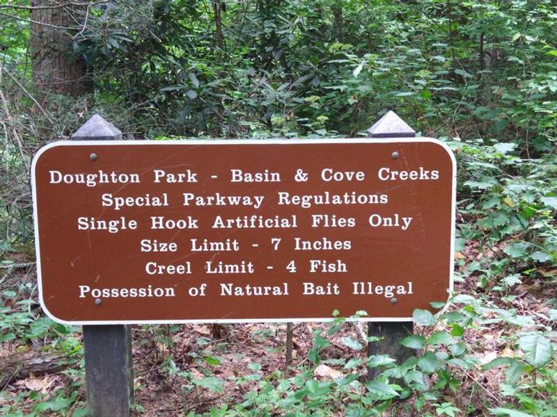 Special Parkway Fishing Regulations in Basin Cove 
