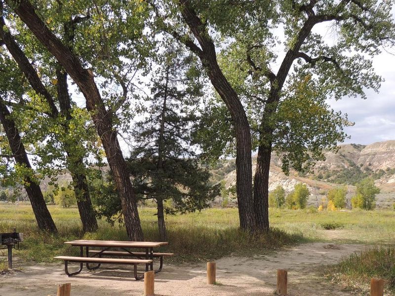 Cottonwood Campground's leafy green cottonwood trees with colorful hills in the background