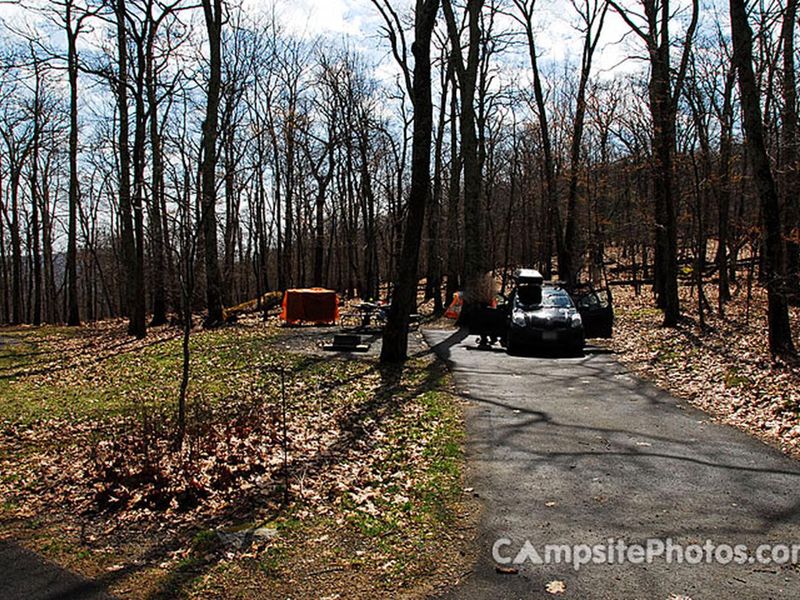 Lewis Mountain Campsite #16