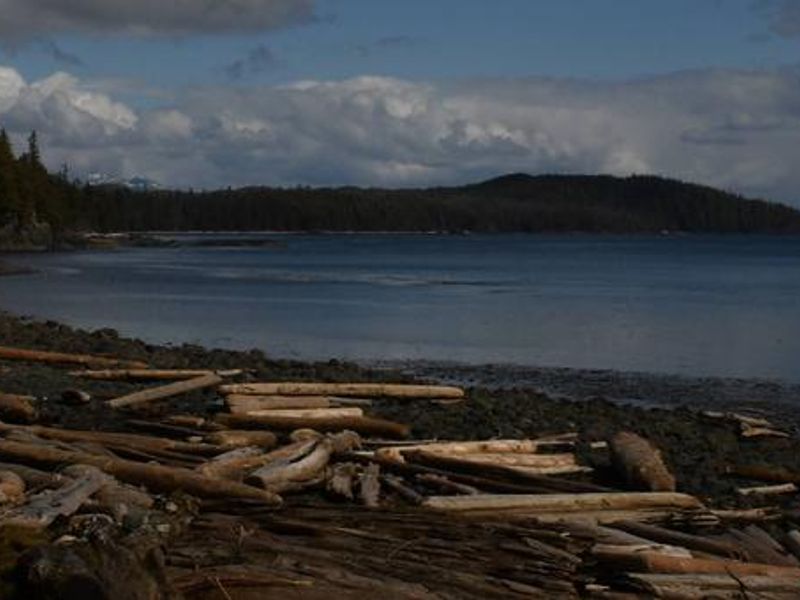 Looking East from Point Amargura Cabin