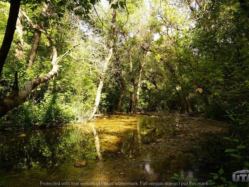 Box Elder Campground