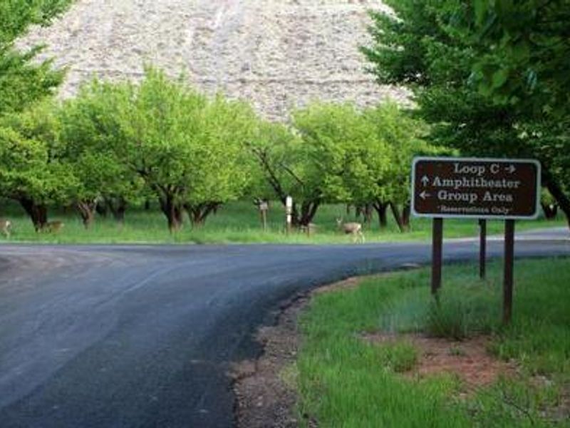 Turn off to access Group Area