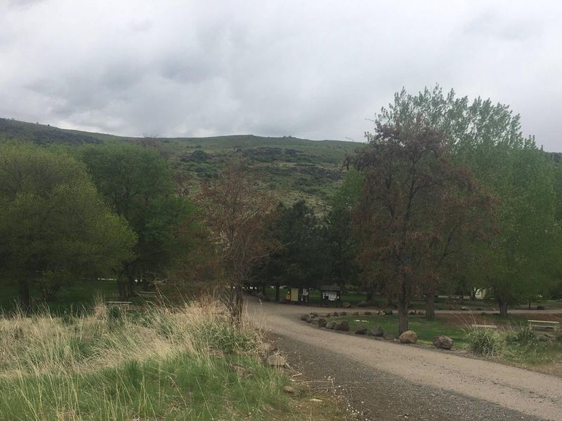 Overview photo of Mann Creek Campground