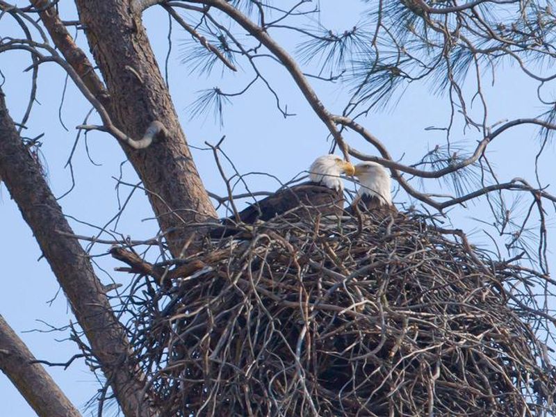 TUTTLETOWN RECREATION AREA 4