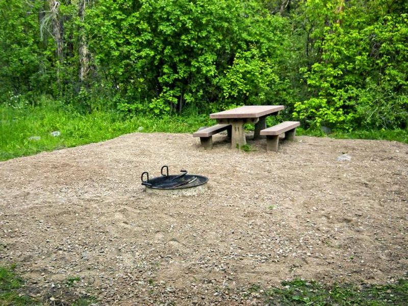 Campsite in Leigh Creek Campground
