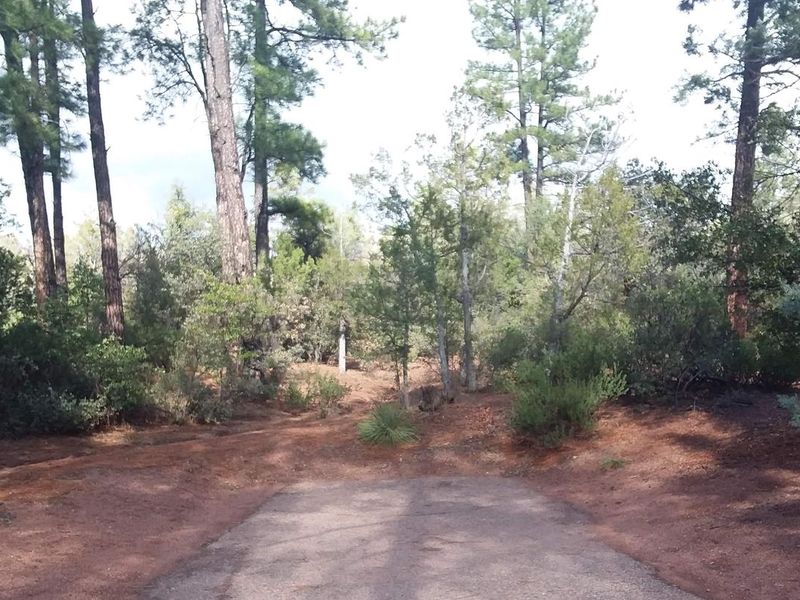 Houston Mesa wooded view 