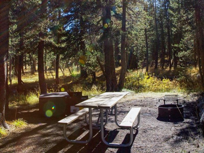 Campsite at Porcupine Flat campground with picnic table, fire ring and food locker.