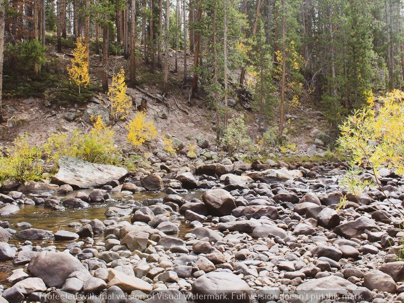 Hayden Fork Campground