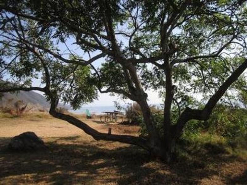 Kirk Creek Campground