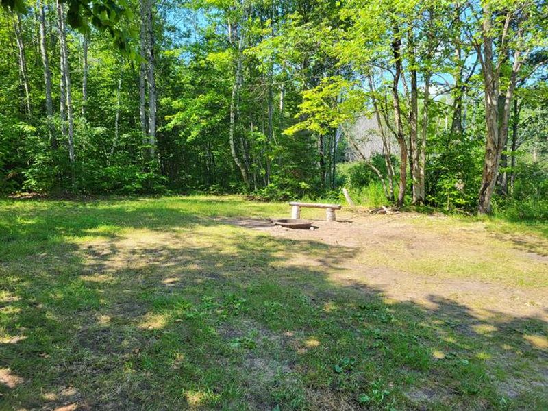 Layout of Clear Lake campsite