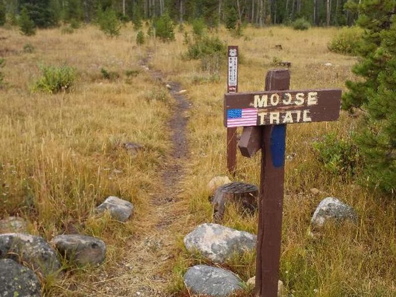 Ryan Park Moose Trail 1