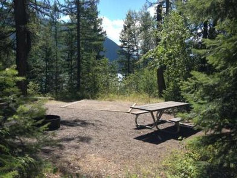 An Apgar group site with picnic table