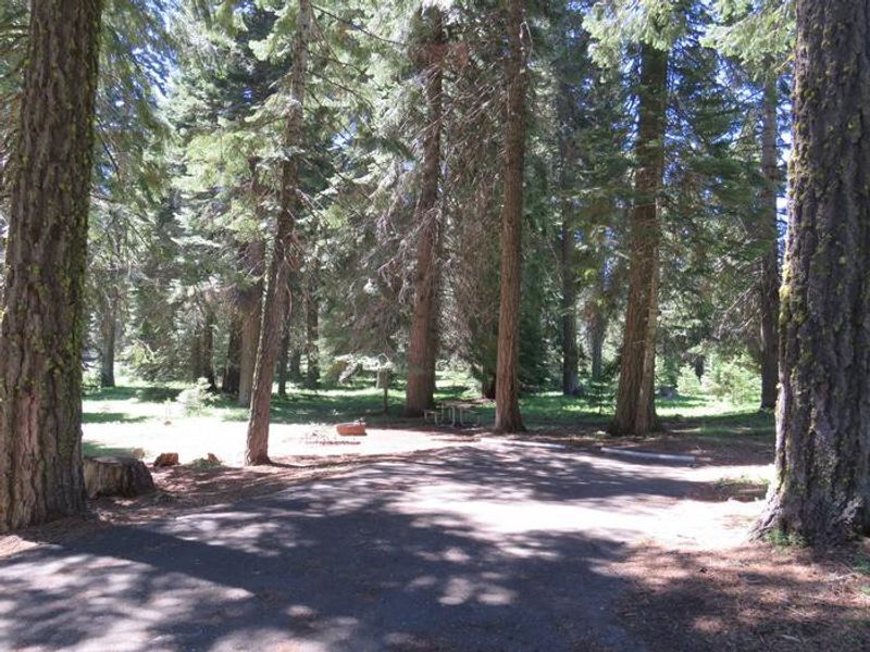 Hyatt Campground Campsite