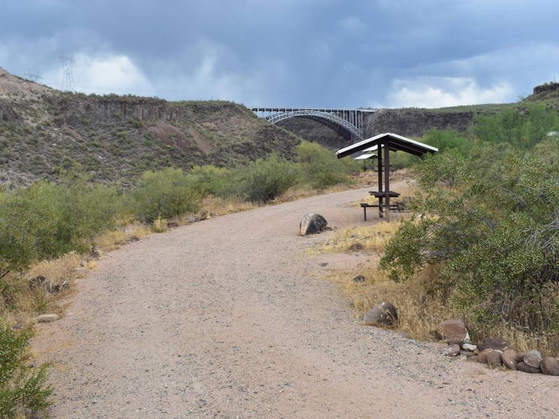 Site 19 - RV Pull Through