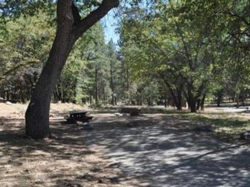 Shade & Picnic Tables of the San Gorgonio Campground