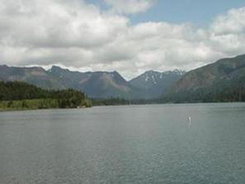 Coho Campground View