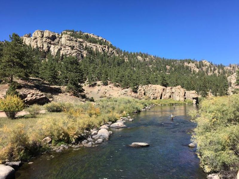 Springer Gulch Campground
