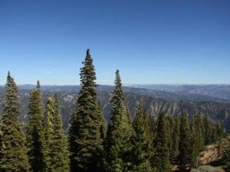 Spanning views from the lookout