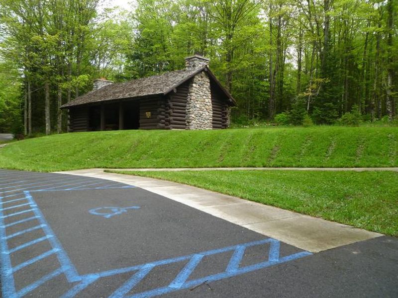 Lake Ottawa Campground picnic shelter with two stone fireplaces and original log picnic tables.