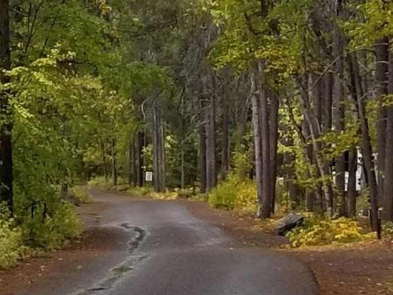 Apgar Campground Road