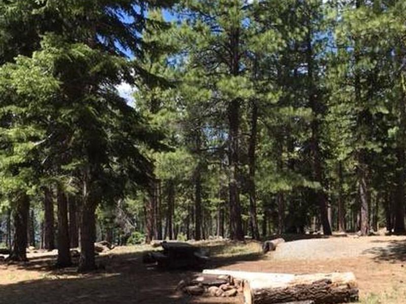 Blue Lake Campground Group Site  