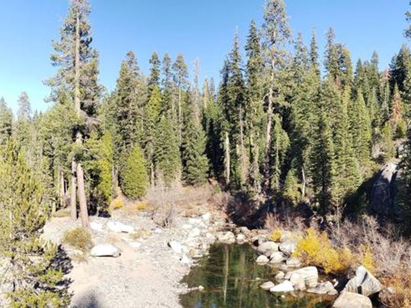 Headwaters of French Meadows Lake near Coyote group campgrounds.