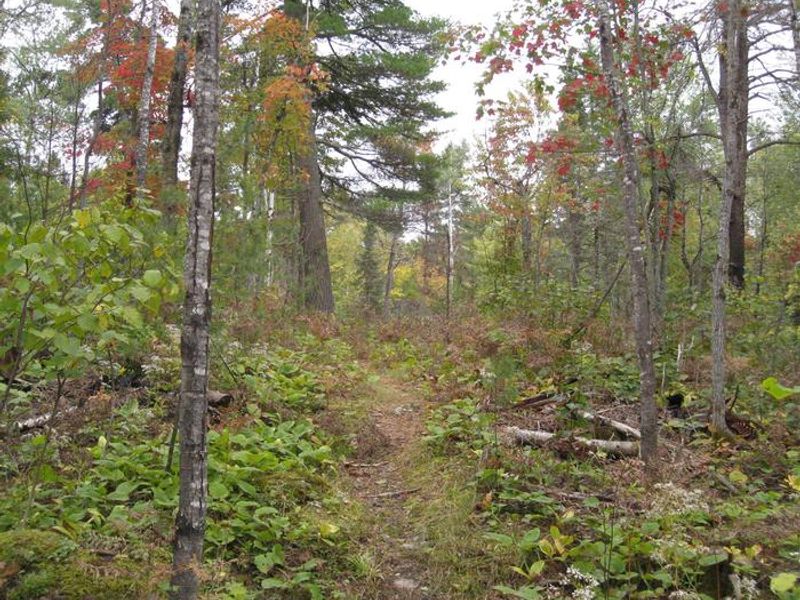 Fenske Lake hiking trail.