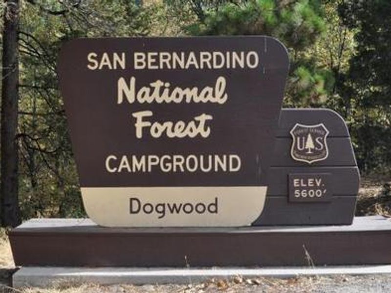 Dogwood Campground Sign