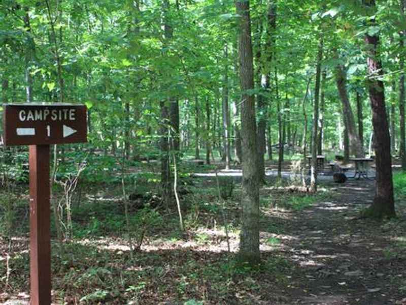 Entrance to Campsite 1 with chest high 4x4 post with wood sign "Campsite 1"