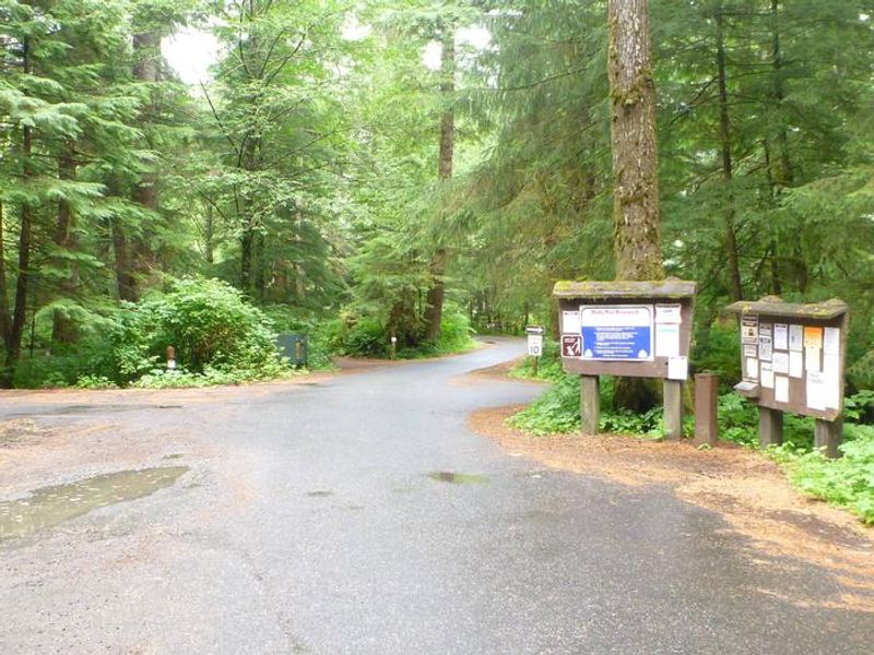 Signal Creek Campground Entrance