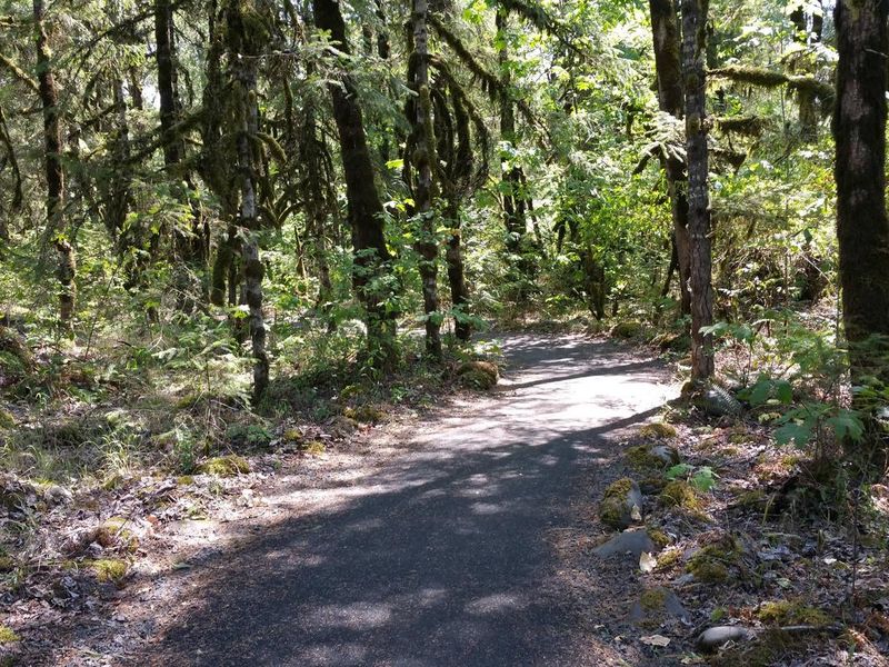 river trail at Fishermen's Bend