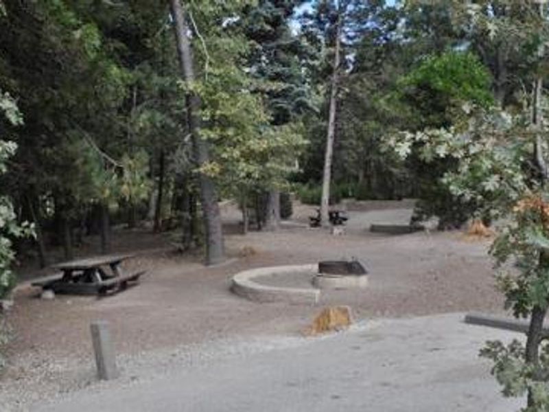 Family seating around fire ring at Dogwood Campground