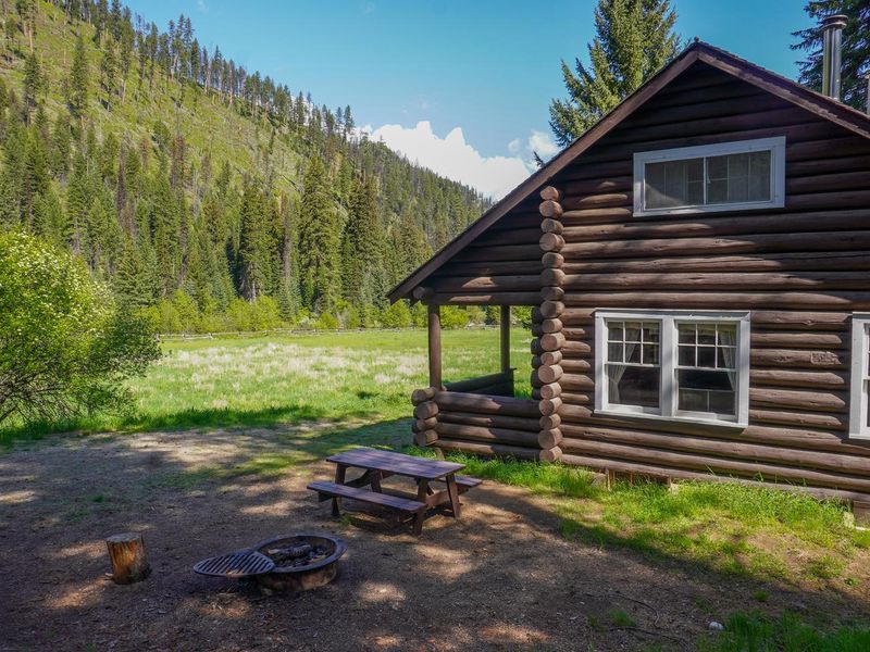 View Across Meadow from Cabin