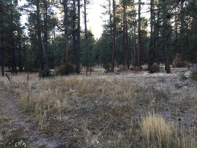 Amole Canyon RV Site