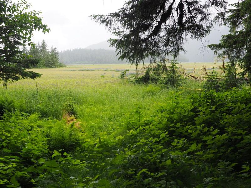 Scenery of Gut Island 2 Cabin