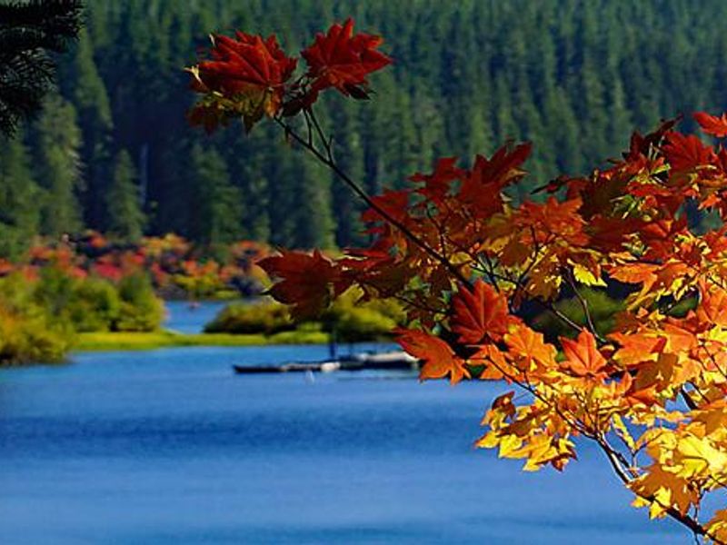Clear Lake, Willamette National Forest