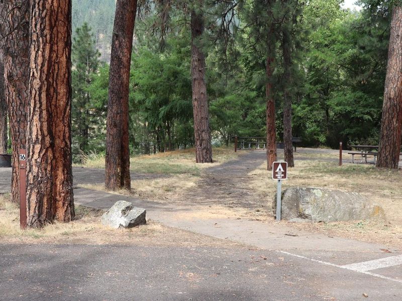 Pink House Recreation Site features three tent campsites with standing BBQ grills, picnic tables, and fire rings. All three tent campsites have excellent views of the Clearwater River.