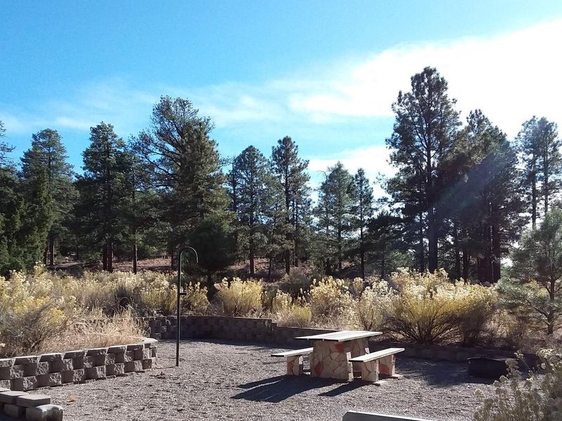 Site view of trees and shrubs, with a table and post.