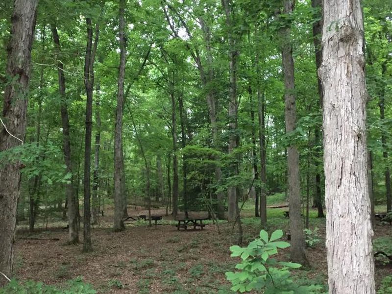 Picnic Area near Telegraph Picnic Pavilion