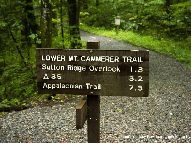  Also accessible from Cosby is Low gap, Gabe's mountain trail, Snake Den ridge, horse trail, nature trail, and Hen Wallow Falls. 