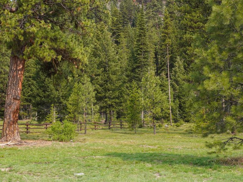 Fales Flat Campground Overview