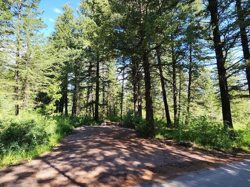 A campsite at Scout Mountain Campground
