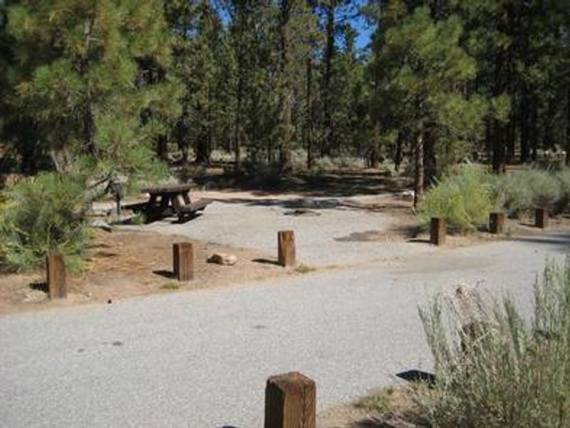 Heart Bar Campground Picnic Tables