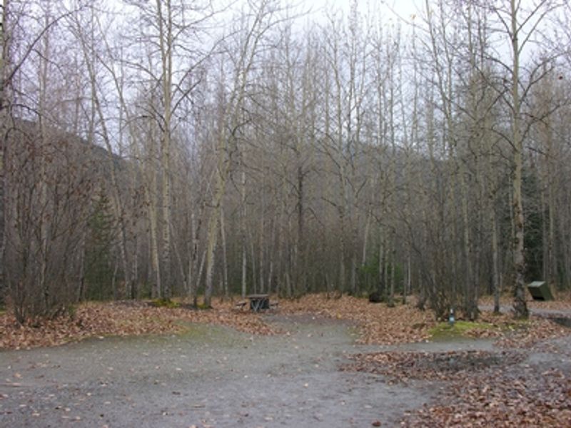 The Dyea campground is located next to the Taiya River.