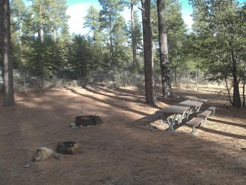 Additional R/V or Camper trailer site with bench and fire pit