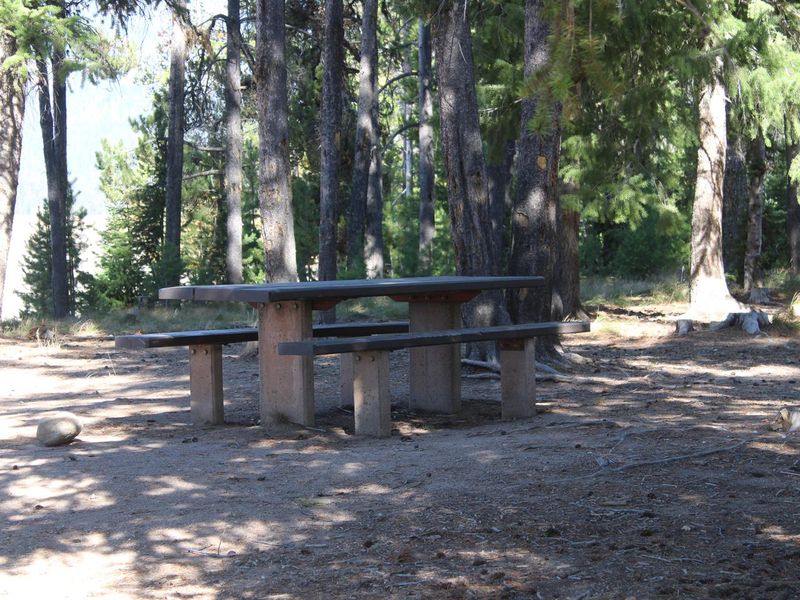 Site picnic table